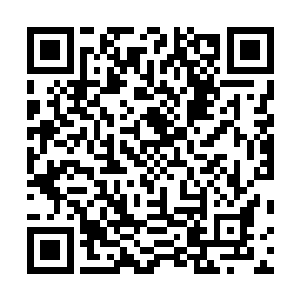 省里大佬们觉得陆为民还有更合适或者说更需要他的去处二维码生成