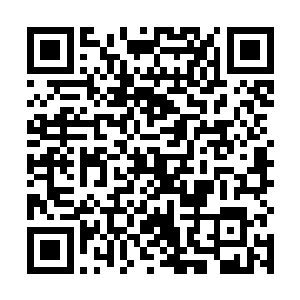 眉发雪白的女子已经唰一下穿破迷雾出现在了十人面前二维码生成