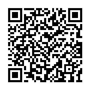 眉心有黑色鳞片中年男子看出了白衫青年的犹豫二维码生成