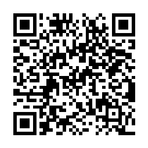 看上去仿佛是已经和吴虎臣完全的融为了一体一样二维码生成