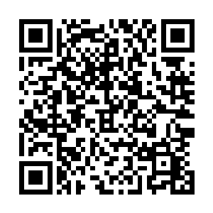 看上去如同一座肉山一样的巨胖子站在了广场前方的高台上二维码生成