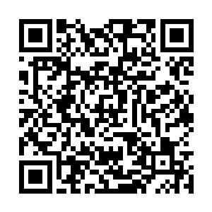 看上去就像楚旬手中的虎魄刀瞬间暴涨了数倍一样二维码生成