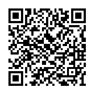 看上去除了动作以及说话语言与人类几乎相同外二维码生成