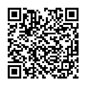 看不出内伤但是害怕他摔下虎池的时候脑子砸伤了二维码生成