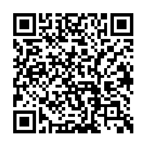 看了一眼靠在一起的王爷和王妃旋即垂下了眼眸二维码生成