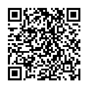 看了下卧室的周围还真的没有一点儿女人来过的样子二维码生成