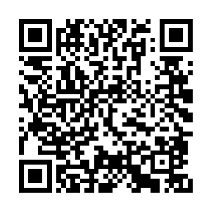 看他们脸上的快乐倒是比绝大多数人都真诚自然二维码生成