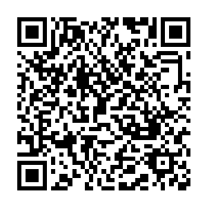 看他现在对苏醉蝶的态度也不像是会那么轻易让未婚妻诈死逃婚的人二维码生成