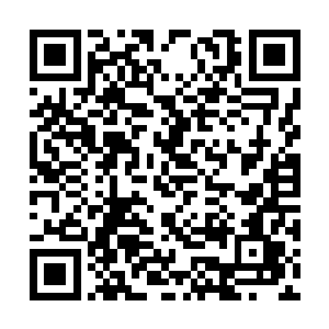 看似静若止水却总让人觉得有几分与别的姑娘不同二维码生成