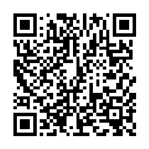 看來只有以后去问问天剑前辈和十大守护家族了二维码生成