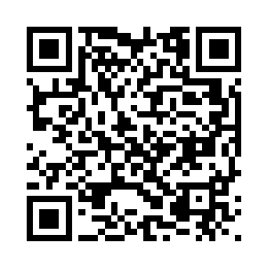 看到一号岛屿已经变成了一片火海二维码生成