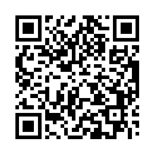 看到三角蓝海鲸头顶最中间的那个尖角没有二维码生成