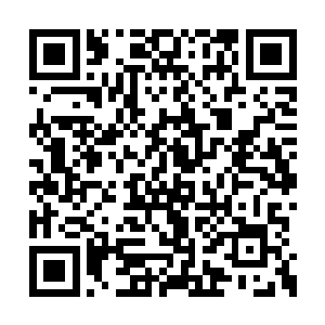 看到下面灵药的时候却是瞪大眼睛失声叫了出来二维码生成