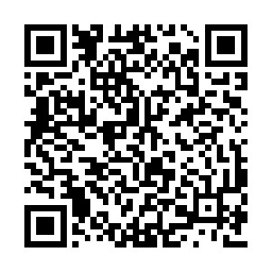 看到了一个人正鬼鬼祟祟地试图往里面探看过去二维码生成