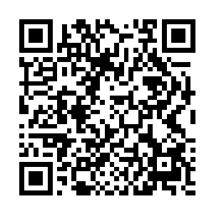 看到了上辈子身为CBD白领和上上辈子身为机械工人的画面二维码生成