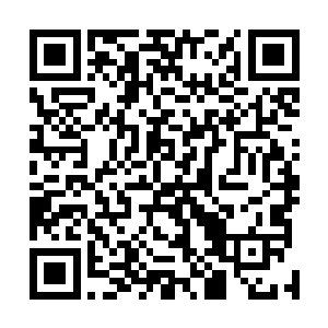 看到了两个男仆正拼命得朝地上蜷缩起来得一个身影踢去二维码生成