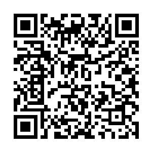 看到了为了振兴真道宗而奋斗了一生的上一代大长老二维码生成