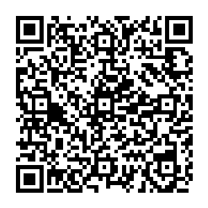 看到了水下什么东西都没有贝海不由的就开始有点儿鄙视起了弗兰克这个老头儿了二维码生成