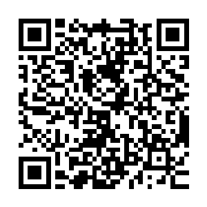 看到了这样的情况贝海首先想到的不是自己空间的绿鱿鱼危险了二维码生成