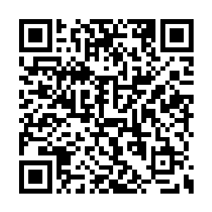 看到他一副如丧考妣的表情坐在沙滩上喝闷酒时二维码生成