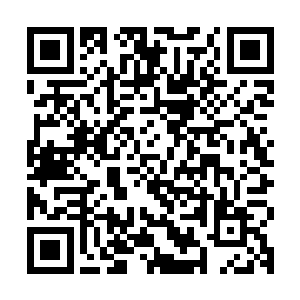 看到他时那水汪汪的小眼神儿跟读小学时路上见到一百块钱似的二维码生成