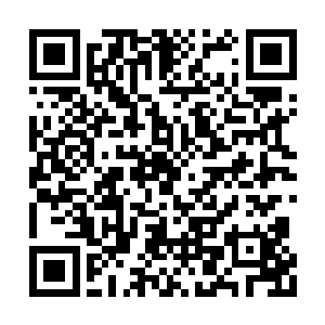 看到他的时候武术部的人自觉的让出了一条道路二维码生成
