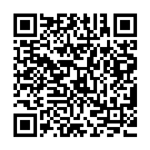 看到冲在最前面的数百个魔化生物瞬间被那无尽长剑撕碎焚毁二维码生成