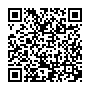 看到几名老师正用窗帘将一名女生抬到救护车边二维码生成