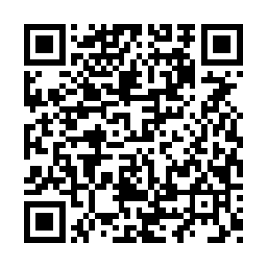 看到同类武者想要比较一下各自的异火正常至极二维码生成