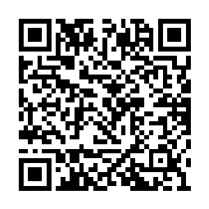 看到哈里斯家族现在应对家主死的事情手忙脚乱二维码生成