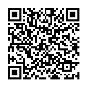看到地面上所有的人都在向着空中自己两个人张望二维码生成