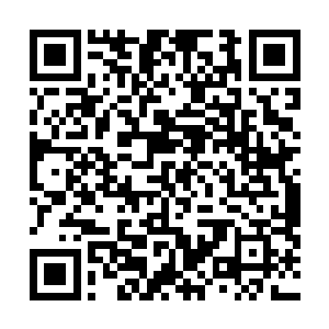 看到大人在园子里抱了群英会馆的掌柜的皇甫君媃进卧房二维码生成