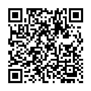 看到天桥境后期的徒弟在对方手里一招都没走到二维码生成