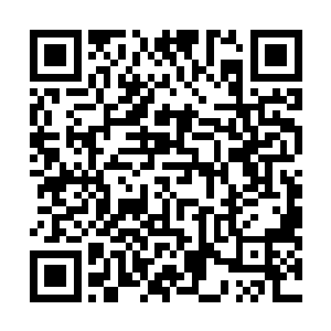 看到对方皮肤表面的伤痕几乎是在刹那间就自动愈合起来二维码生成