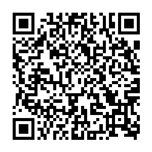 看到小伙伴熟悉的脸听到他那熟悉的声音再差点没嗷的一声喊出来二维码生成