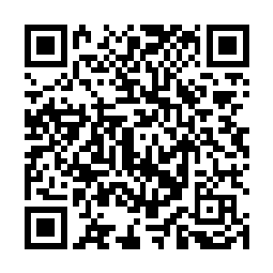 看到小区门口站姿笔直的保安和花园里的那些名贵树木二维码生成