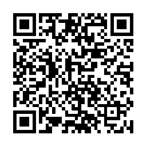 看到我背身过去之后张璐涵马上就解开了上衣的拉链二维码生成