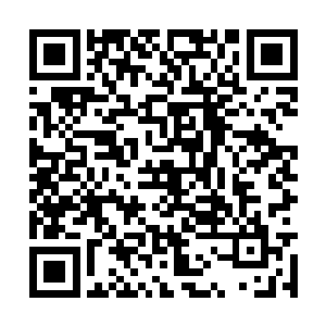 看到方瓶儿和大量女人以及唯一被称为主上的男人二维码生成