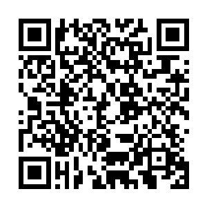 看到有人追它就往大海里面跳――我也跟着跳进了大海――二维码生成