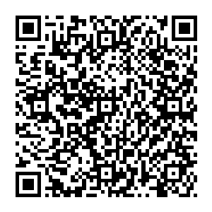 看到有老人倒在地上不敢去扶看到有人被打不敢去劝阻看到有人在公交车上割钱包而不敢出声提醒――他们稚嫩二维码生成