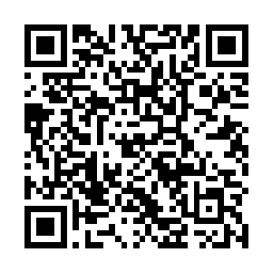 看到杀戮机器和张子峰都把注意力放在了背后的飞镖上二维码生成