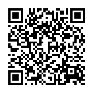 看到现场的禁卫们出来都说看到那些七零八落的尸体二维码生成
