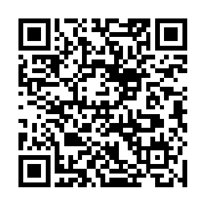 看到留着一小撇胡子的宋智带着个随从急匆匆的跑进来二维码生成
