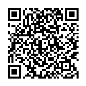 看到白素仙对张铁依依不舍又小鸟依人言听计从的模样二维码生成
