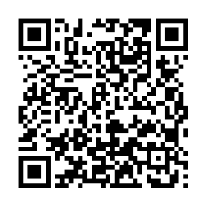 看到的却是犹如困兽一样的司南下在办公室里走来走去二维码生成