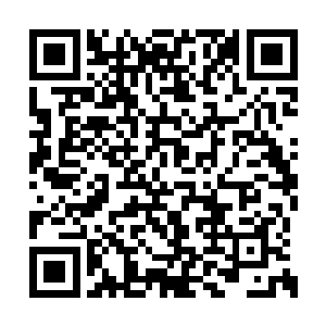 看到秦方不再外面盯着那些游弋在人群中的高手二维码生成