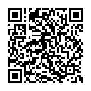 看到自己两成力量挥出的一剑被若无其事的挡下二维码生成