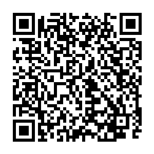 看到自己原本以为能够让愤怒吃个小亏的一招居然被愤怒背后的羽翼挡住二维码生成
