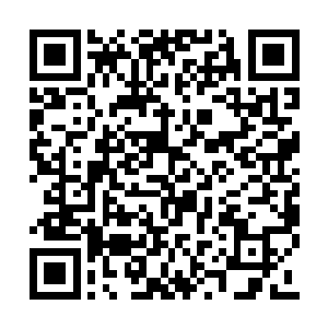 看到自己师弟手中属于师叔葛宁剑的那方沉海印二维码生成