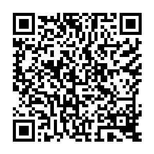 看到花久久脸颊染上一朵红才意识到自己刚才说的话是有那么一些爱媚二维码生成